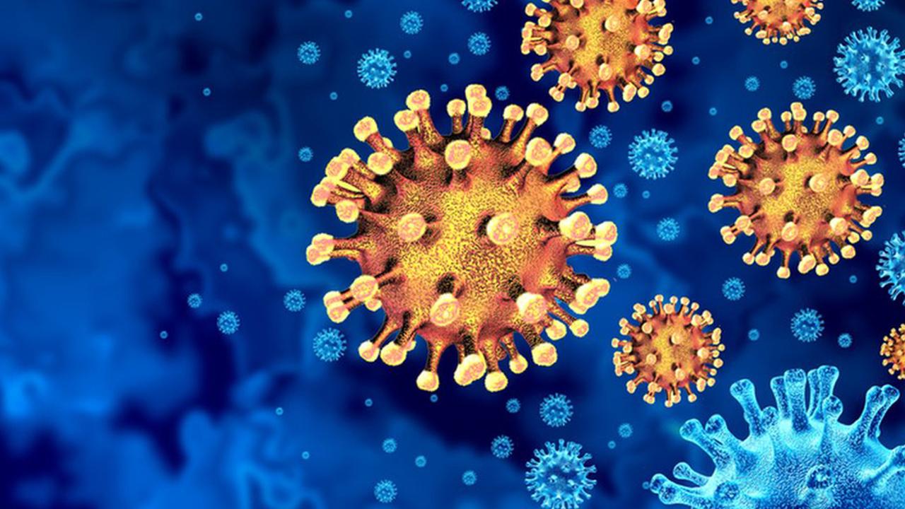 Afrika’da Ebola Tehdidi: DSÖ Acil Durum İlan Etti