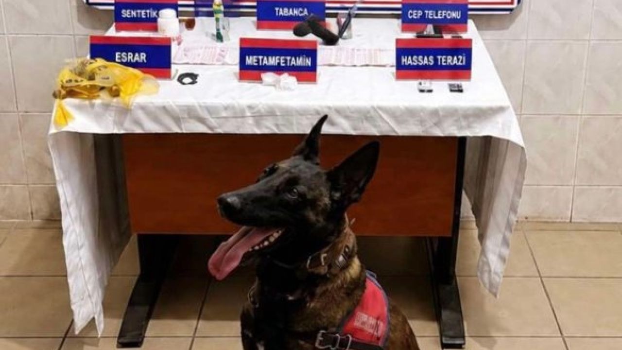 Aydın Nazilli'de uyuşturucu operasyonu: 1 kişi tutuklandı