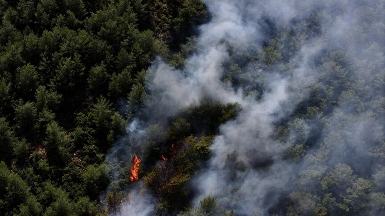 Fethiye'de Korkutan Orman Yangını: Havadan ve Karadan Müdahale Başladı
