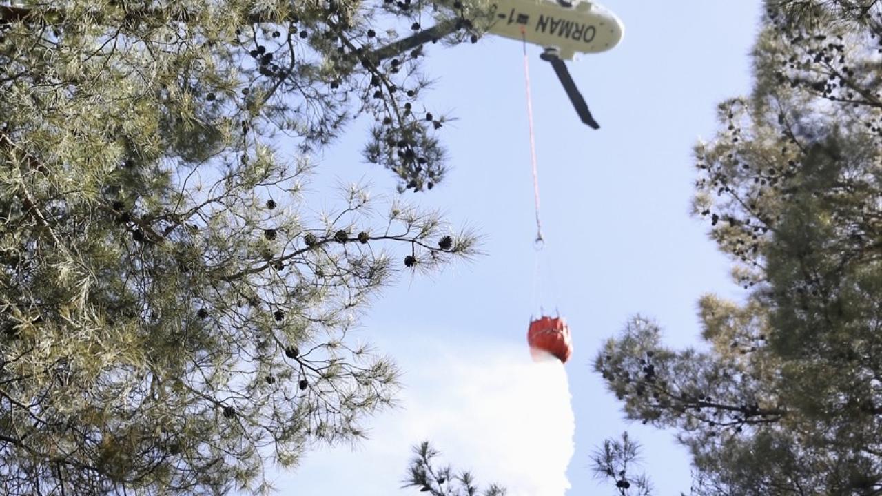 Fethiye'deki Orman Yangınından İyi Haber: Alevler Kontrol Altına Alındı
