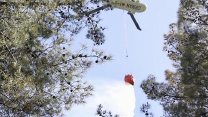 Fethiye'deki Orman Yangınından İyi Haber: Alevler Kontrol Altına Alındı