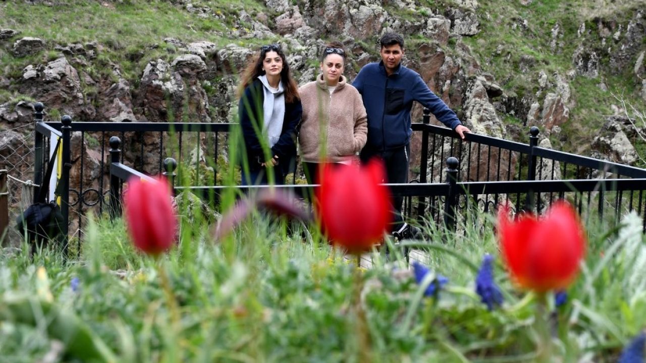Sarıkamış’ta Görsel Şölen: Ekoturizm Alanı Rengarenk Çiçeklerle Buluştu