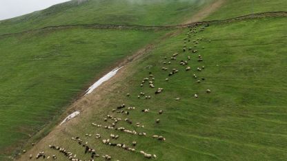 Gümüşhane’nin Zirvesinde Doğa Şöleni: Taşköprü Yaylası Ziyaretçilerini Bekliyor