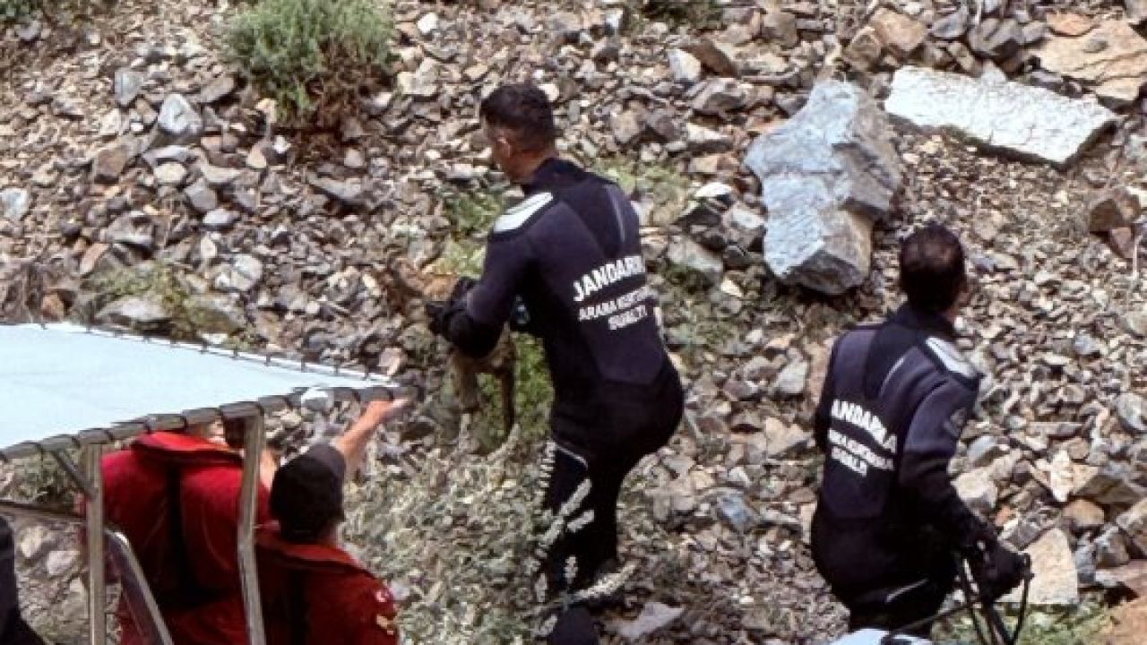 Artvin'de kayalıklarda mahsur kalan oğlak ekiplerce kurtarıldı