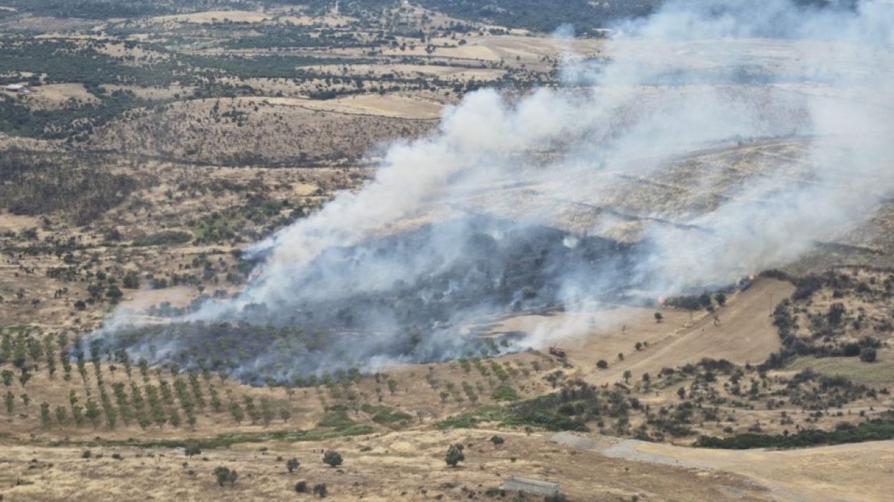 Çanakkale'deki ormanlık alanda yangın meydana geldi.