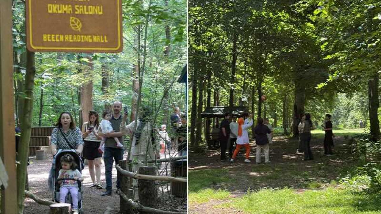 Kuzuyayla Mitleri… Şehrin Hediyesi, Doğanın Kucağı