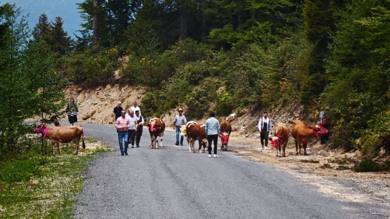 Trabzon’da Asırlık Gelenek: Yayla Göçü Coşkusu
