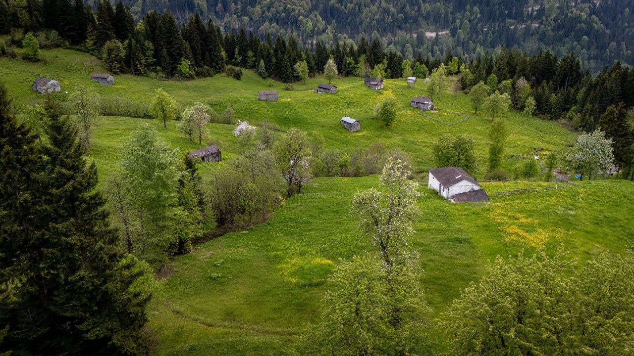 Trabzon’un Yaylaları Baharın Büyüsüyle Ziyaretçilerini Bekliyor