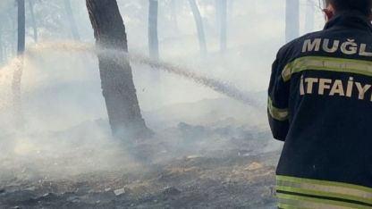 Muğla Ortaca'da Orman Yangını: Havadan ve Karadan Müdahale Sürüyor
