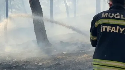 Muğla Ortaca'da Orman Yangını: Havadan ve Karadan Müdahale Sürüyor