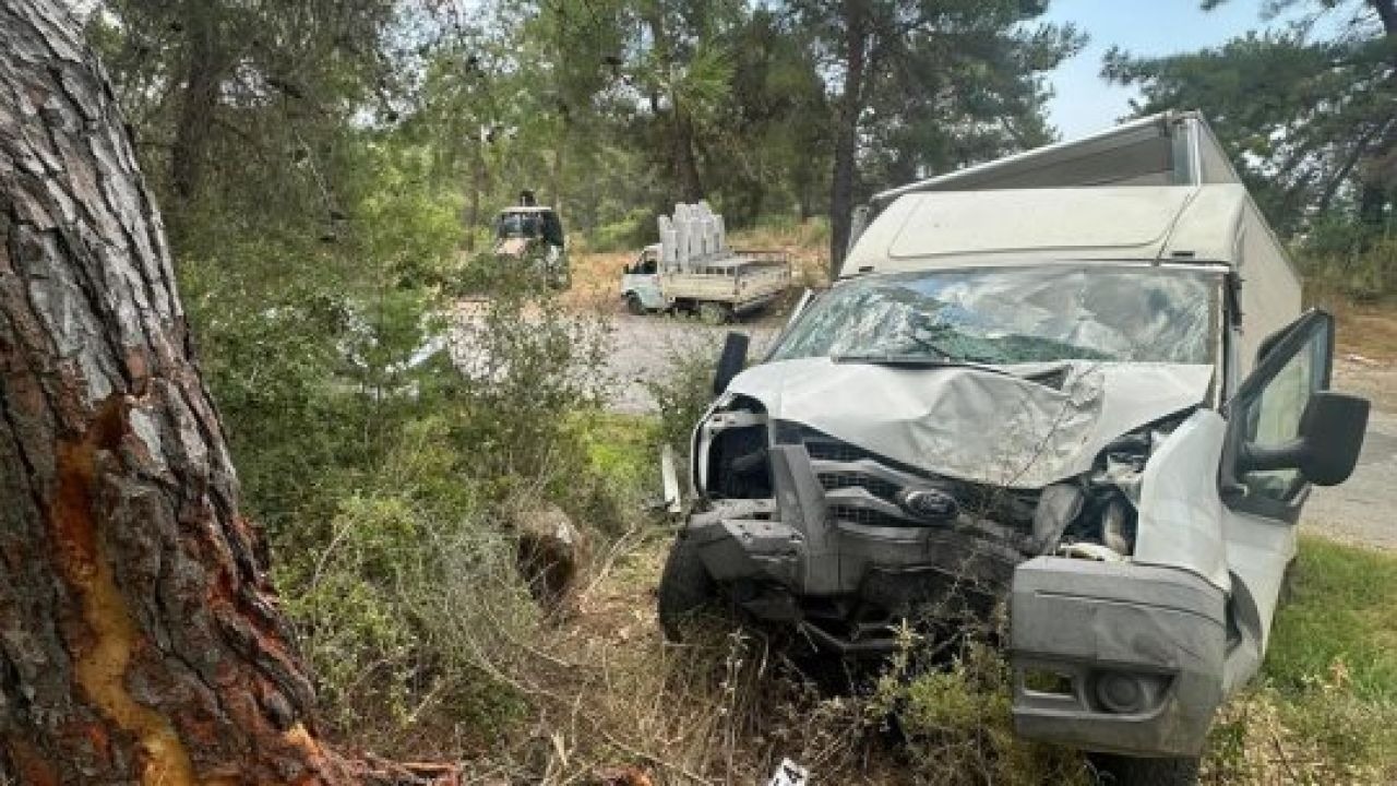 Alanya'da Ağaca Çarpan Kamyonette Feci Kaza: 1 Ölü